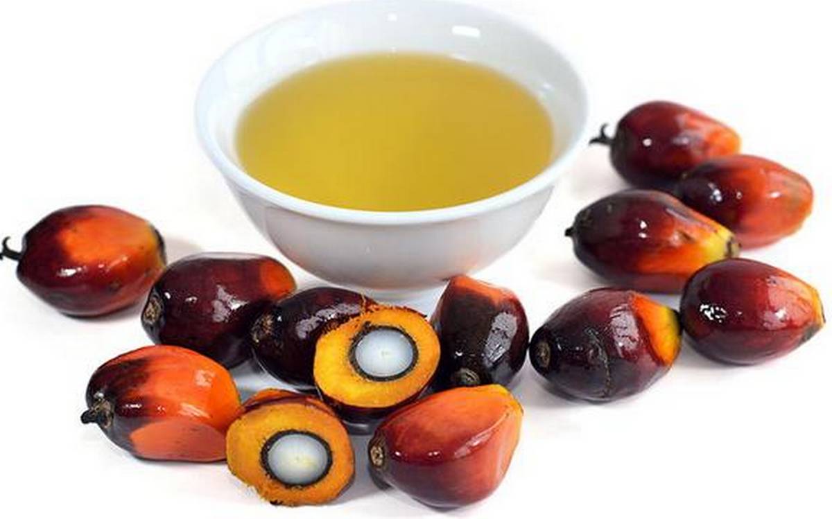 Refined-Bleached-Deodorized-Palm-Oil