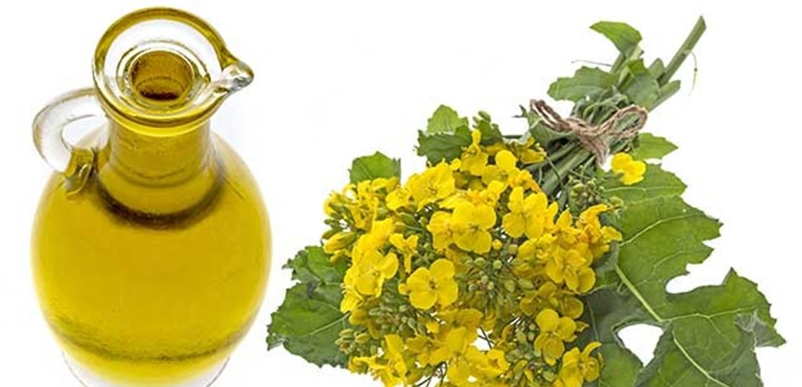 canola_iol